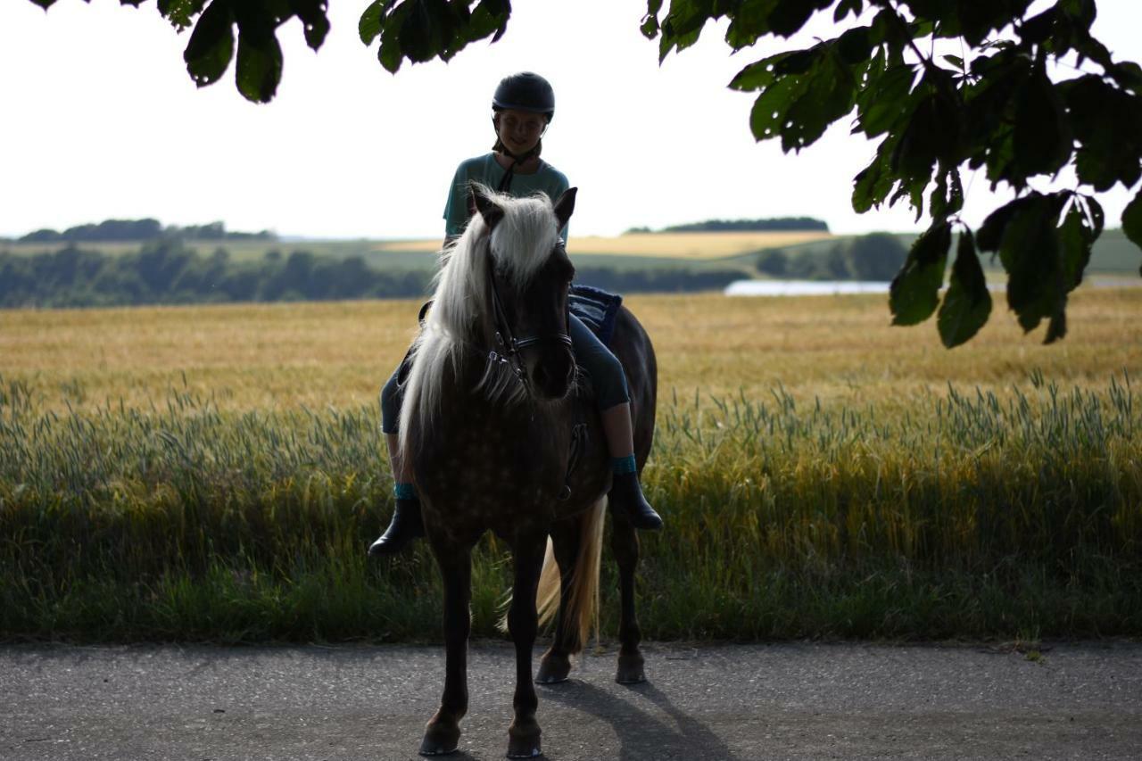 Landhof Lieg - Tierische Auszeit In Unseren Gemuetlichen Ferienwohnungen Exterior foto